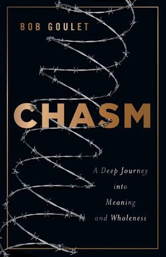 Chasm: A Deep Journey into Meaning and Wholeness