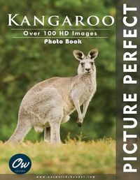 Cover image for Kangaroo