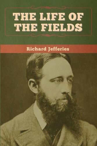 Cover image for The Life of the Fields