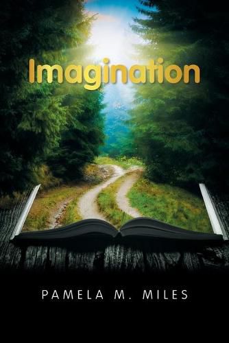 Cover image for Imagination