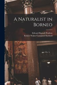 Cover image for A Naturalist in Borneo