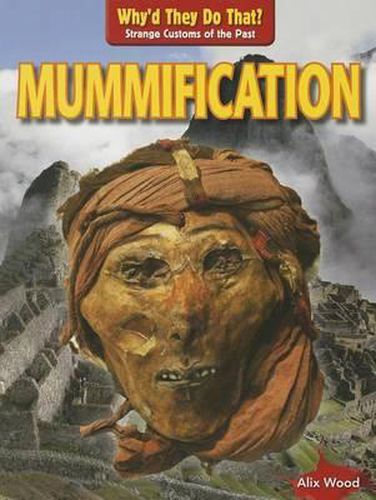 Cover image for Mummification