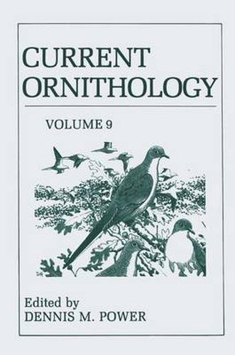 Cover image for Current Ornithology