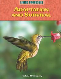 Cover image for Adaptation and Survival