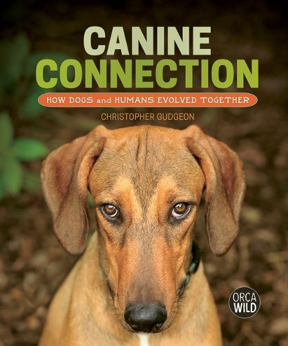 Cover image for Canine Connection