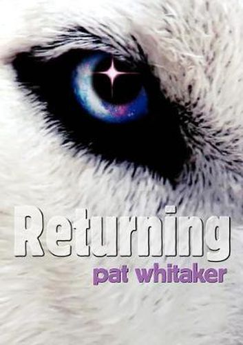 Cover image for Returning