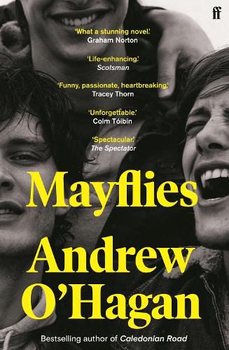 Cover image for Mayflies