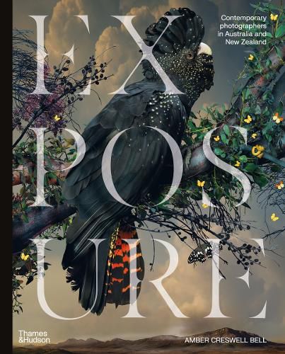 Cover image for Exposure