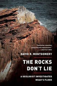 Cover image for The Rocks Don't Lie: A Geologist Investigates Noah's Flood
