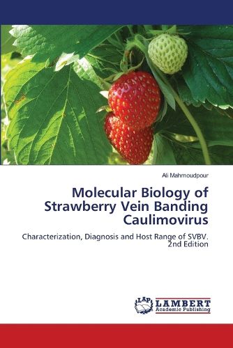 Cover image for Molecular Biology of Strawberry Vein Banding Caulimovirus