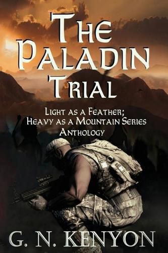 Cover image for The Paladin Trial