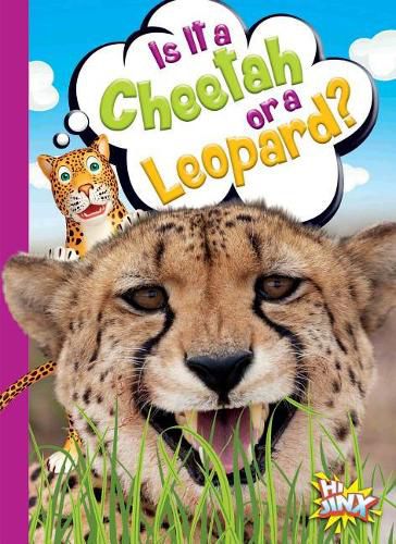 Cover image for Is It a Cheetah or a Leopard?