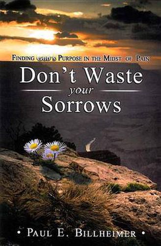 Cover image for Don't Waste Your Sorrows