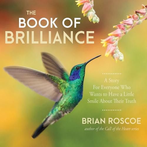 Cover image for The Book of Brilliance