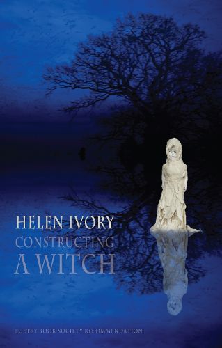 Cover image for Constructing a Witch