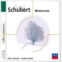 Cover image for Schubert - Winterreise