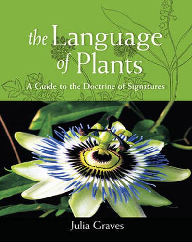 Cover image for The Language of Plants: A Guide to the Doctrine of Signatures