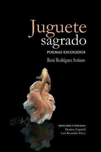 Cover image for Juguete sagrado