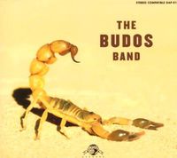 Cover image for The Budos Band II
