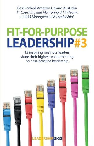 Cover image for Fit For Purpose Leadership 3
