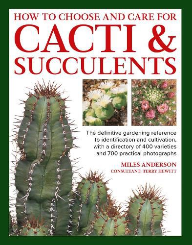 Cover image for Cacti & Succulents, How to Choose and Care for