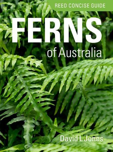 Cover image for Reed Concise Guide: Ferns of Australia
