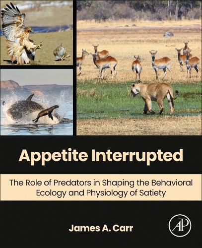 Cover image for Appetite Interrupted