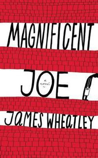 Cover image for Magnificent Joe