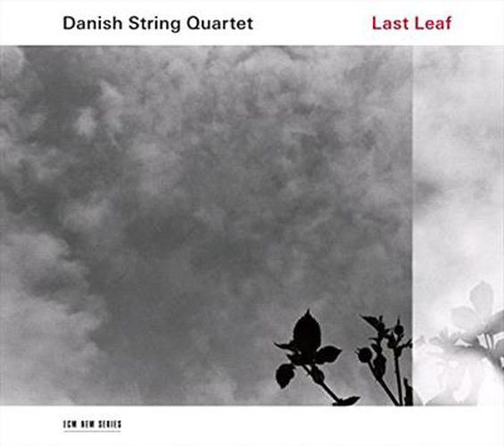 Cover image for Last Leaf