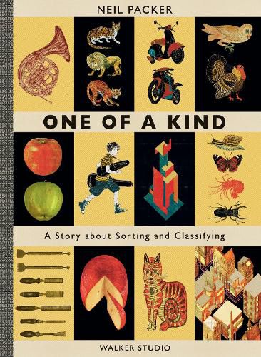 Cover image for One of a Kind: A Story About Sorting and Classifying