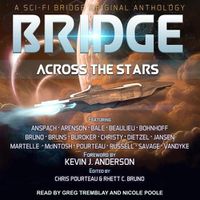 Cover image for Bridge Across the Stars