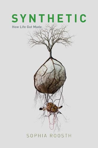 Cover image for Synthetic: How Life Got Made