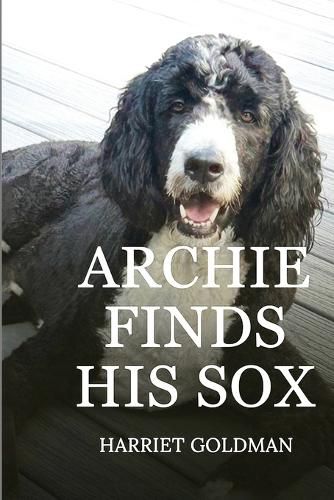 Archie Finds His Sox