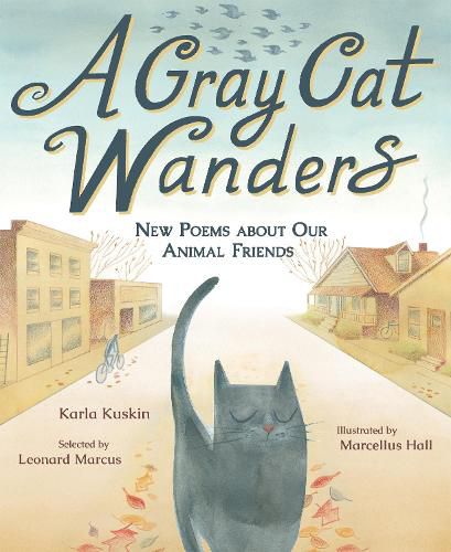 Cover image for A Gray Cat Wanders
