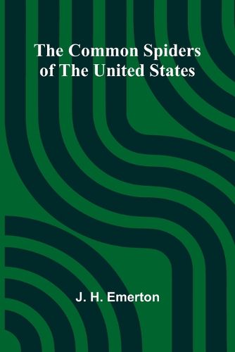 Cover image for A Chilhowee Lily (Edition1)