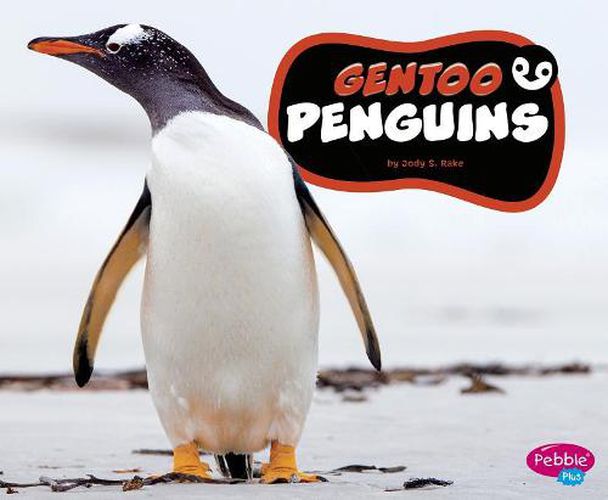 Cover image for Gentoo Penguins