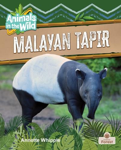 Cover image for Malayan Tapir