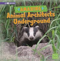 Cover image for Amazing Animal Architects Underground: A 4D Book