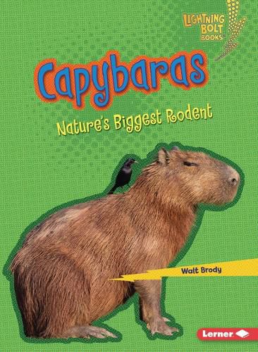 Cover image for Capybaras