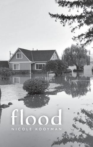 Cover image for flood