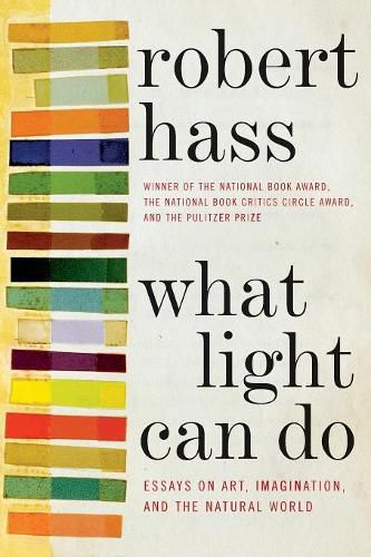 Cover image for What Light Can Do: Essays on Art, Imagination, and the Natural World