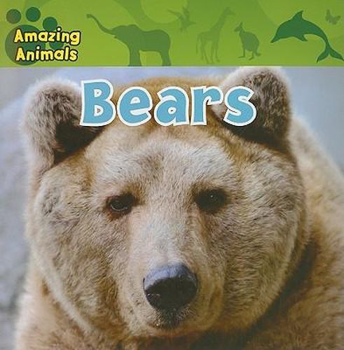 Cover image for Bears