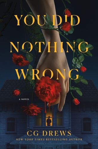 Cover image for You Did Nothing Wrong
