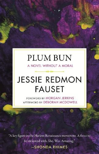 Cover image for Plum Bun: A Novel without a Moral