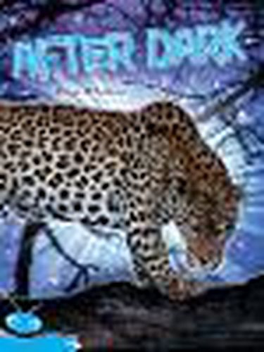 Cover image for Bug Club Level 18 - Turquoise: After Dark (Reading Level 18/F&P Level J)