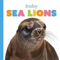 Cover image for Baby Sea Lions