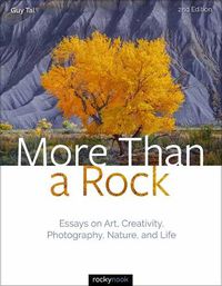 Cover image for More Than a Rock