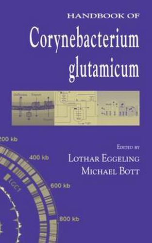 Handbook of Corynebacterium glutamicum