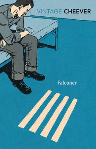 Cover image for Falconer