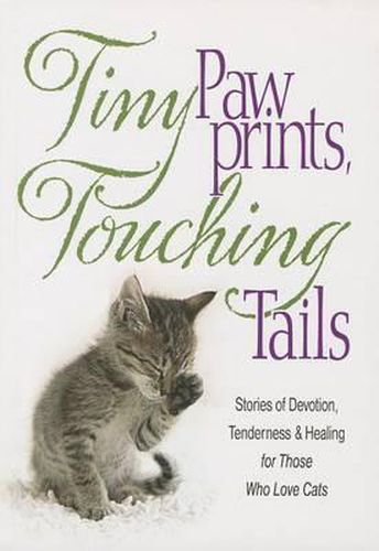 Cover image for Tiny Paw Prints Touching Tails: Stories of Devotion, Tenderness & Healing for Those Who Love Cats